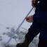 20190103_142654 (1) - МЧС Вологодской области