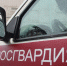 Сотрудники вневедомственной охраны в Череповце задержали нетрезвого водителя - Росгвардия