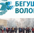 В выходные на время полумарафона в Вологде изменится движение транспорта - Правительство Вологодской области
