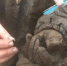 Поисковики надеются найти родственников погибшего вологжанина Михаила Курилова - Вологда-поиск