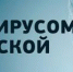 Изменения в сфере образования, связанные с мерами по предотвращению распространения в регионе коронавирусной инфекции - Департамент образования