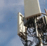 Голосовой и интернет-трафик Tele2 переместился из городов в районы Вологодчины - Вологда-поиск