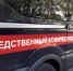 В Череповецком районе следователи СК России устанавливают обстоятельства гибели девятилетней девочки - Следственный комитет