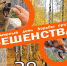 28 сентября – Всемирный день борьбы с бешенством - Роспотребнадзор