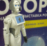 Роботы и космос: в Вологду приехала международная выставка - Gorodvo.Ru