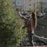 Крупномерные ели начали высаживать в разных микрорайонах Вологды - Вологда.РФ