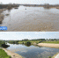 Из-за жары уровень воды в реке Вологде резко снизился - NewsVo.Ru