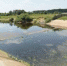 Критическим стал уровень воды в реке Вологде - ИА Невские Новости