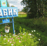 В Вологодском районе выбрали самую красивую деревню - NewsVo.Ru