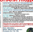 Семью Черепягиных ищут пятый день в лесах Вологодского района - ИА Невские Новости