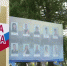 В Соколе открыли доску почета и новую спортплощадку - OnlineVologda.Ru