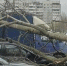 Фото: Артем Корнилов - Вологда-поиск