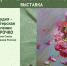 Арт-галерея Областной библиотеки «Афанасьевский променад» приглашает на открытие новой выставки 6+ - Научная библиотека