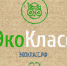 FzTQ03YpeqU - Институт развития образования