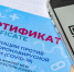 Привитые за границей вологжане не смогут получить QR-код на портале Госуслуг - Gorodvo.Ru
