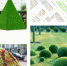 statics/images/arcticles/022022/28022022x53663ca7.jpg - Красный север