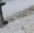 Фото: ГИБДД по Вологодской области - Вологда-поиск