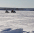 statics/images/arcticles/032022/03032022x2a3dcf13.jpg - Красный север
