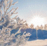 Фото: istockphoto - Вологда-поиск