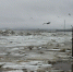 Максимальные уровни воды весеннего половодья на реках Вологодчины ожидаются во второй-третьей декадах апреля - Правительство Вологодской области