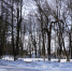 DSC05535.JPG - Вологодская городская дума