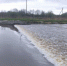 В Вологде из-за дождей продолжает повышаться уровень воды в реках - FlashNord.Com