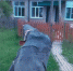 https://vologdazso.ru/upload/medialibrary/268/26875eaa467c0b6ec0d0f79c1803ad9d.jpg - Законодательное собрание