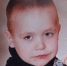 С поисками 3-летнего Егора Наволоцкого в Великоустюгском районе все плохо… - Вологда-поиск