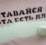 Дружинники Вологды закрасили более 1500 надписей с рекламой наркотиков - Вологда.РФ