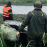 Под Череповцом спасли застрявшего в болоте мужчину - Красный север