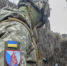 Фото: АиФ - Вологда-поиск