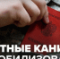 Мобилизованным вологжанам и их семьям предоставят кредитные каникулы - Вологда.РФ