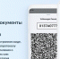 Вологжане могут оформлять европротокол в приложении «Госуслуги Авто» - Вологда.РФ