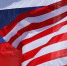 Петросяна, Бузову и Харламова включат в новый санкционный список США - Вологда-поиск
