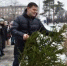 Более 600 елей направлено на переработку в Вологде по итогам акции «дЕльный круговорот» - Администрация г. Вологда