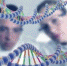 Центр ДНК ВоГУ приглашает школьников принять участие в Web-квесте  «Расшифруй  ДНК - 2023» - ВоГУ
