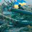 фото e-news.su - Вологда-поиск