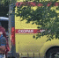 Фото: группа - Вологда-поиск