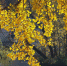 Pixabay - FlashNord.Com