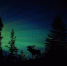 Pixabay - FlashNord.Com