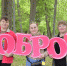 С начала этого года около 70 тысяч вологжан вовлечены в добровольческие проекты - OnlineVologda.Ru