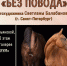 Новая фотовыставка в Областной библиотеке 12+ - Научная библиотека