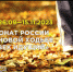 Вологжане могут присоединиться к Чемпионату России по фоновой ходьбе «Человек идущий — 2023». - Департамент физкультуры и спорта