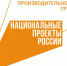 Производитель фанеры из села имени Бабушкина завершает реализацию нацпроекта «Производительность труда» - Департамент лесного комплекса