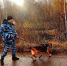 35.МВД.РФ - FlashNord.Com