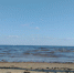 Двое рыбаков утонули в водоёмах Вологодчины - Wobla.Ru