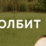 «Диаграмма спагетти»: вологодское деревообрабатывающее предприятие внедряет новые инструменты для реализации нацпроекта - Департамент экономразвития