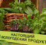 В областной столице готовятся к проведению ежегодной выставки «Настоящий Вологодский продукт» - Департамент сельского хозяйства
