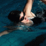 Freepik - Вологда-поиск