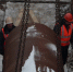 Устройство четвёртого этапа тракта водоподачи из Кубенского водохранилища иёт с опережением графика - Вологда.РФ